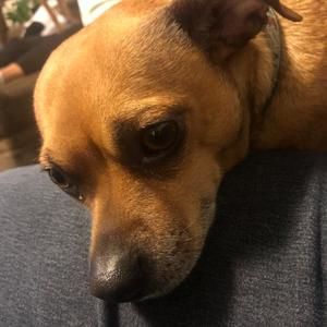 Meet your Posher, Debra